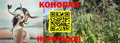 СК Донецк
