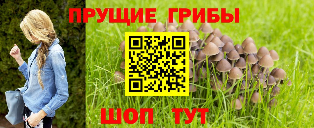 Псилоцибиновые грибы мухоморы  Миасс  наркота  Галлюциногенные грибы мухоморы 