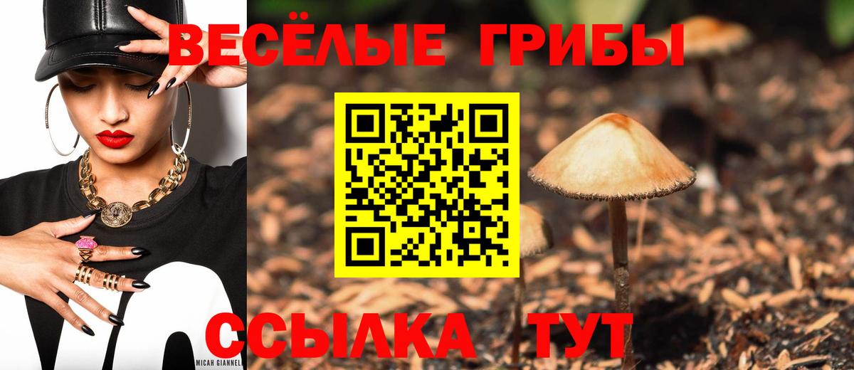 Псилоцибиновые грибы мухоморы  Галлюциногенные грибы GOLDEN TEACHER  Миасс  Вход с VPN 