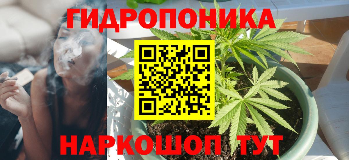 Каннабис планчик Миасс